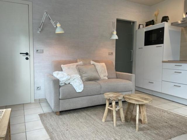 Au Coeur La Roche Studio Extérieur photo